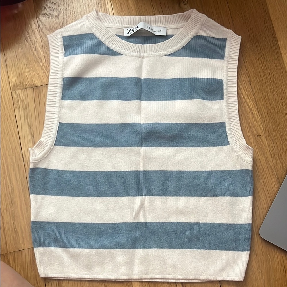 Zara Blue and White Striped Tank Top